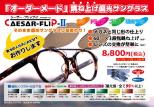 シーザーフリップ2